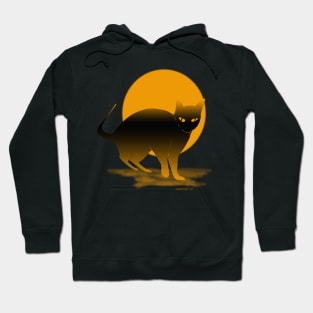 cat man Hoodie